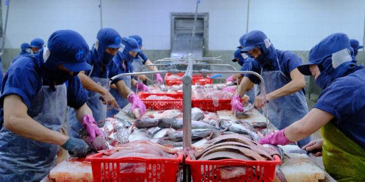 Việt Nam thành cường quốc xuất khẩu nông sản, nhiều mặt hàng dẫn đầu thế giới