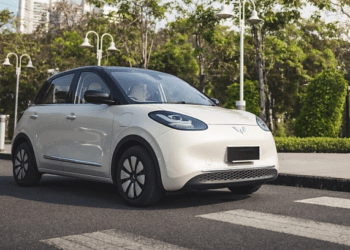 Vietnam distributor of China's Wuling EV turns profitable again