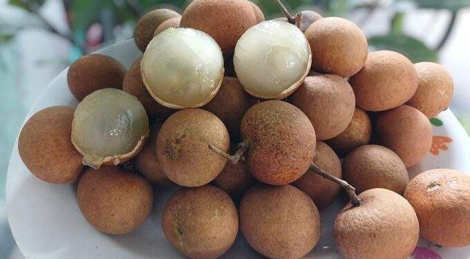 Cabbage longan prices plunge to five-year low as supply soars