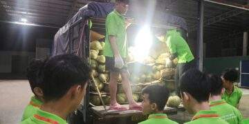 Các vựa sầu riêng thu mua xuyên đêm dịp lễ 2-9, giá sầu riêng tăng nhẹ