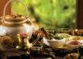 Đẩy mạnh phát triển nền y học cổ truyền Việt Nam trong giai đoạn mới