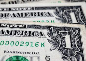Dollar stays flat against dong
