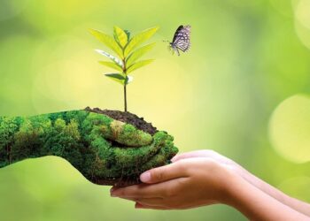 From compliance to strategy: ESG criteria gaining ground