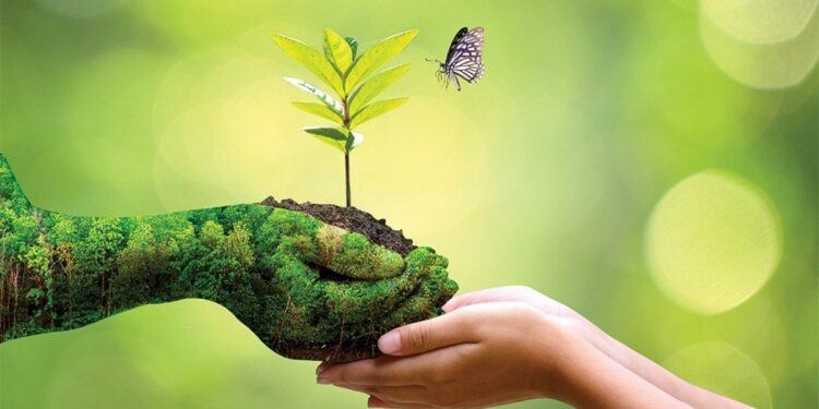 From compliance to strategy: ESG criteria gaining ground