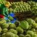Fruit, vegetable exports reach record high at $1.3B in September