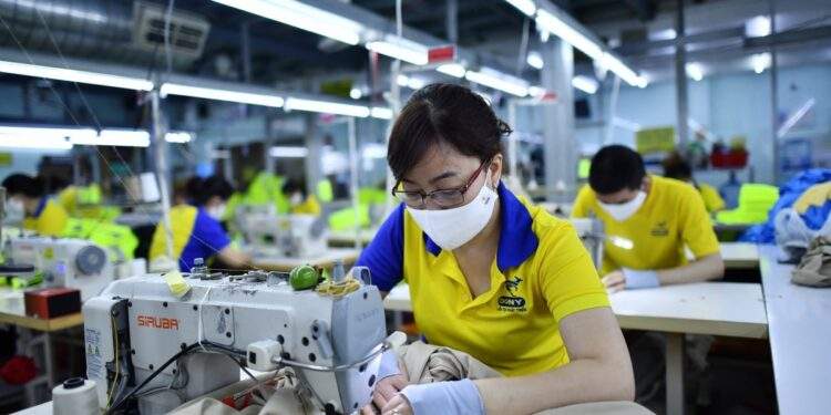 Garment and textile firms eye exports and domestic market for growth