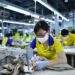 Garment and textile firms eye exports and domestic market for growth