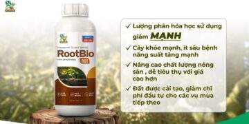 Giải pháp bền vững cho nhà nông Việt