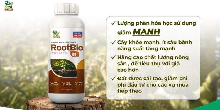 Giải pháp bền vững cho nhà nông Việt