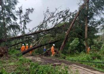 Nhân viên ngành điện khắc phục sự cố lưới điện do mưa bão.