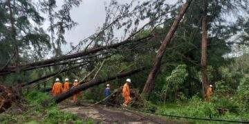 Nhân viên ngành điện khắc phục sự cố lưới điện do mưa bão.