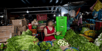 Lãnh đạo Hội Bảo vệ Người tiêu dùng nói thẳng về vấn nạn rau bẩn
