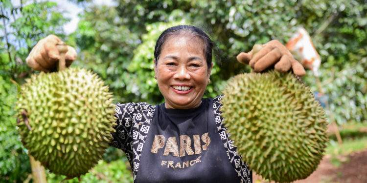Malaysia bất ngờ chi tiền gấp 11 lần mua sầu riêng Việt Nam