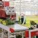 Mua Lynch Group, Dalat Hasfarm trở thành công ty hoa tươi hàng đầu thế giới