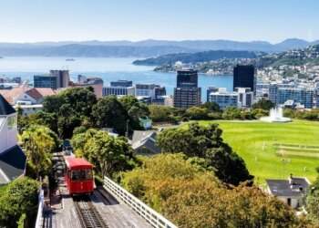New Zealand relaxes rules on foreigners owning property