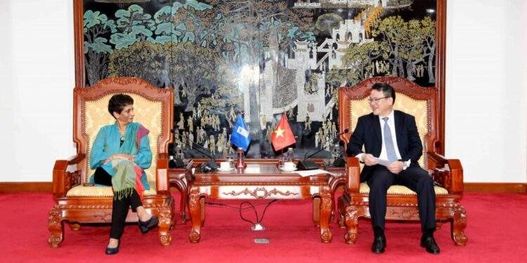 Promoting cooperation between the United Nations and Vietnam