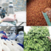 Thêm cơ hội vay vốn ưu đãi ngành nông, lâm, thủy sản