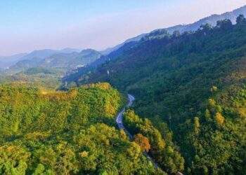 Vietnam to transfer additional one million carbon credits to World Bank