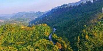 Vietnam to transfer additional one million carbon credits to World Bank