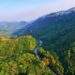 Vietnam to transfer additional one million carbon credits to World Bank