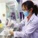 Vietnam’s 35% top income tax rate among Southeast Asia’s highest