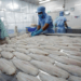 Vietnam's aquatic exports on pace to hit $10B