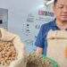 Xuất khẩu nông sản Việt Nam tăng trưởng mạnh mẽ Trong năm 2025