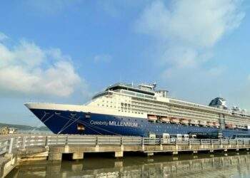 Doanh nghiệp "ngồi trên lửa" khi cảng ở TP HCM ngưng đón khách du lịch tàu biển