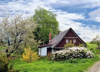 75-year-old woman leaves land inheritance to daughter-in-law instead of son