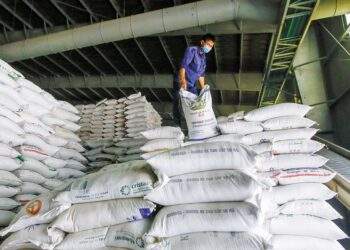 Africa emerges as new market for Vietnamese rice