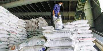 Africa emerges as new market for Vietnamese rice