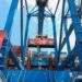 Teu container thứ 1 triệu được xếp dỡ trên tàu CSCL EAST CHINA SEA của hãng tàu COSCO.