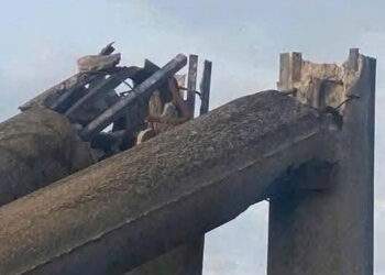 Hé lộ bản thiết kế chịu được cả động đất