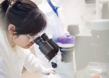 Healthcare a bright spot in Vietnam-Japan relationship