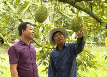 Nỗ lực nhân rộng HTX kiểu mới, hướng đến phát triển bền vững và số hóa