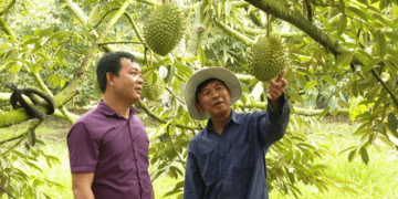 Nỗ lực nhân rộng HTX kiểu mới, hướng đến phát triển bền vững và số hóa