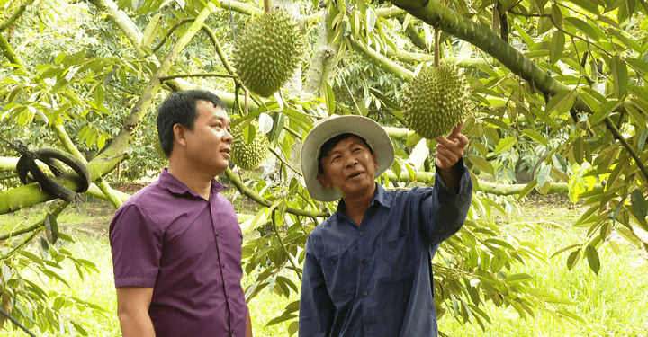 Nỗ lực nhân rộng HTX kiểu mới, hướng đến phát triển bền vững và số hóa