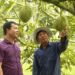 Nỗ lực nhân rộng HTX kiểu mới, hướng đến phát triển bền vững và số hóa