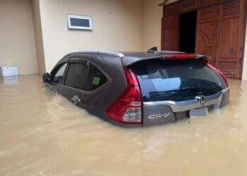 Non-life insurers face mounting pressure after typhoon hits motor sector