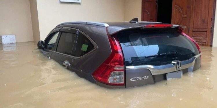 Non-life insurers face mounting pressure after typhoon hits motor sector