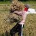 Philippines optimistic about record-high rice output