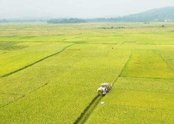 Thái Nguyên tăng tốc thực hiện chương trình giảm nghèo bền vững đến năm 2030