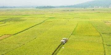 Thái Nguyên tăng tốc thực hiện chương trình giảm nghèo bền vững đến năm 2030