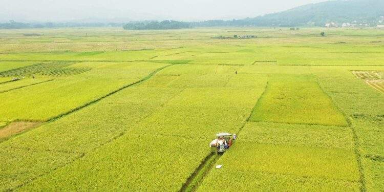 Thái Nguyên tăng tốc thực hiện chương trình giảm nghèo bền vững đến năm 2030