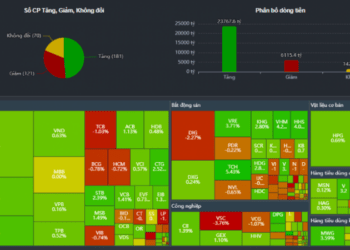 Thị trường chứng khoán tàu lượn trong ngày nhận quyết định nâng hạng thị trường mới nổi