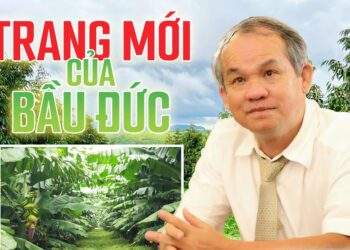 Trang mới của bầu Đức