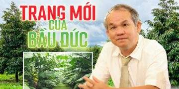 Trang mới của bầu Đức