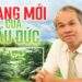 Trang mới của bầu Đức