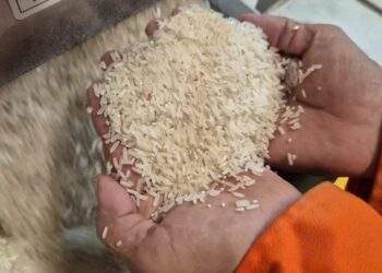 Việt Nam nhập gạo nhiều thứ 2 thế giới