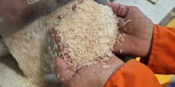 Việt Nam nhập gạo nhiều thứ 2 thế giới